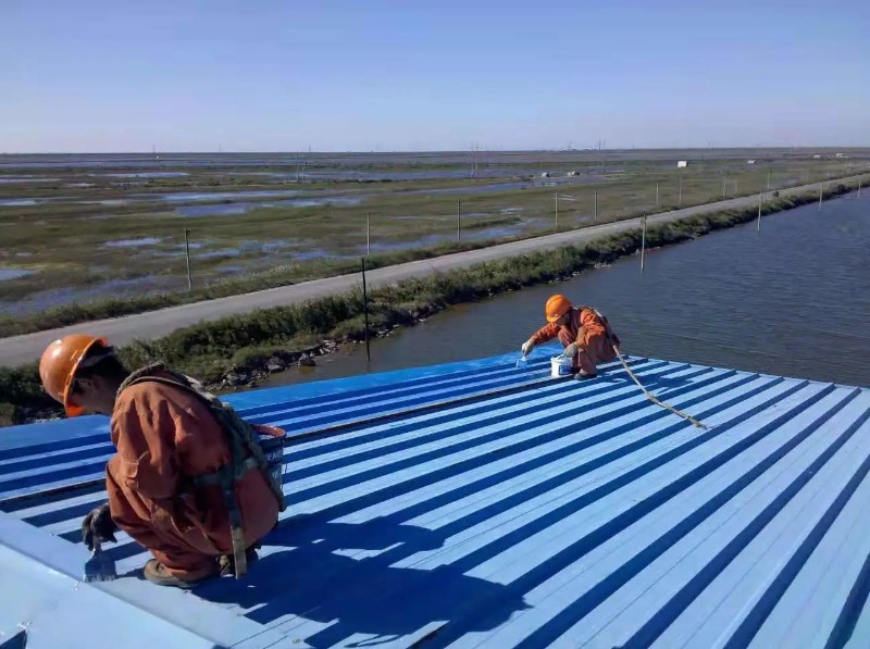 莘县钢结构屋面漏水原因