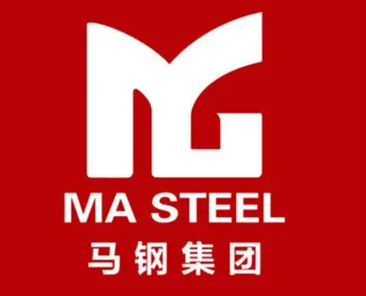 莘县马钢集团